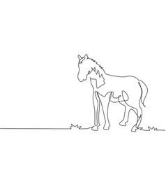 Continuous One Line Drawing A Horse Standing