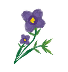 Drawing African Violet Flower Ornament