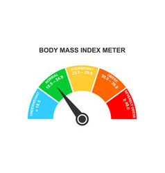 Body Mass Index Meter Infographic Bmi Dashboard