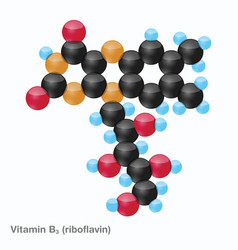 Vitamin B2 Riboflavin Sphere