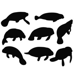 Manatee Silhouette Bundle