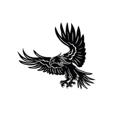 Beauty Eagle Flying Silhouette