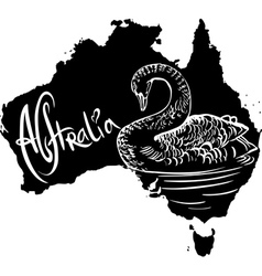 Black Swan Cygnus Atratus On Map Of Australia