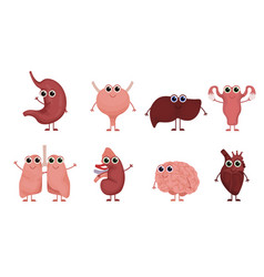 Cartoon Human Organs