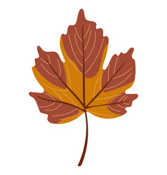 Autumn Maple Leaf Isolated Flat Hand Drawn