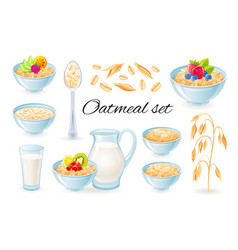 Oatmeal Icons Oat Meal In Bowl With Fruit