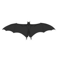 Black Bat On A White Background