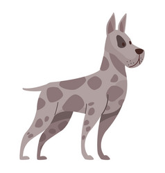 Great Dane Dog Mascot