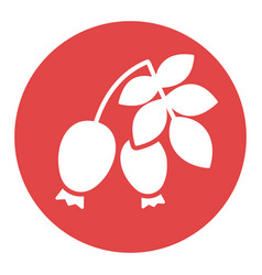 Rose Hip Berries And Leaves Glyph Icon