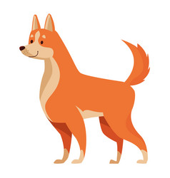 Welsh Corgi Dog Mascot