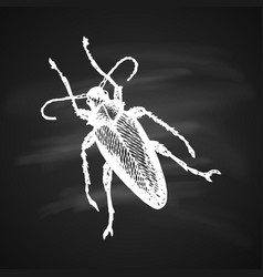 Longhorn Beetle Icon