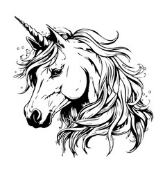 Unicorn Face Fairy Tale Sketch Hand Drawn