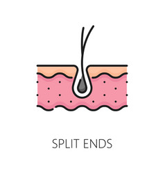 Hair Care Split Ends Treatment Linear Color Icon