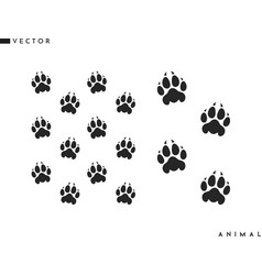 Panther Paw Prints