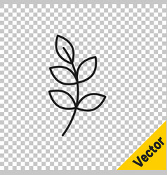 Black Line Willow Leaf Icon Isolated