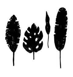 Tropical Plant Leaves Silhouettes Set