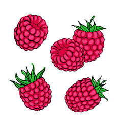 Tropical Set Doodle Red Raspberry Hand Drawn