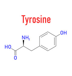 Tyrosine Amino Acid Molecule Skeletal Formula