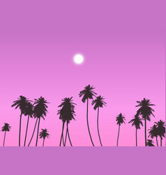 Palm Trees Against Sunset Sky