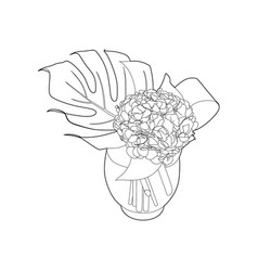 Drawing Hydrangea In A Vase