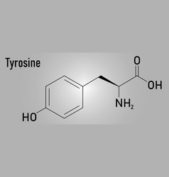 Tyrosine Amino Acid Molecule Skeletal Formula