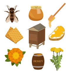 Set Of Items Necessary For Collecting Honey