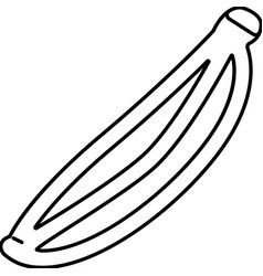 Caraway Seed Line Icon