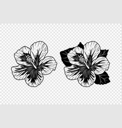 Monochrome Outline Ink Hibiscus Chinese