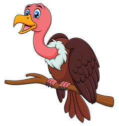 Cute Vulture Bird Cartoon