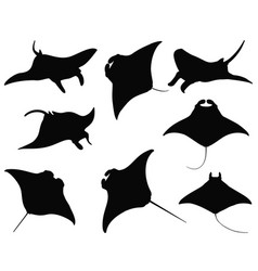 Manta Ray Silhouette Bundle