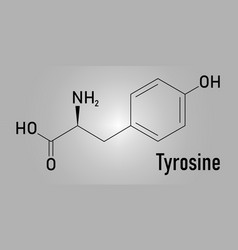 Tyrosine Amino Acid Molecule Skeletal Formula