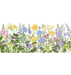 Drawing Seamless Pattern With Wild Flowers