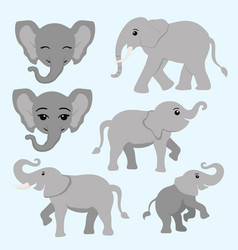 Grey Elephant Boho Style