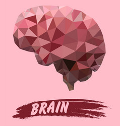 Human Brain Isolated On Pink