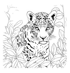 Jaguar In The Jungle Hand Drawn Black And White