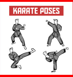 Karate Poses Bundle