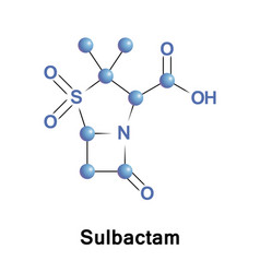 Sulbactam Beta-lactamase Inhibitor