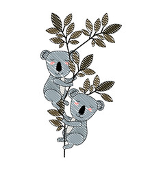 Wild Koalas Couple In Jungle