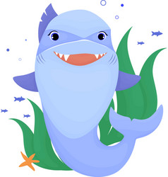 Cartoon Shark