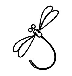 Dragonfly Logo