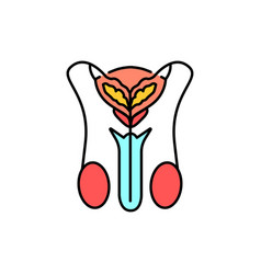 Male Urinary System Color Line Icon Pictogram