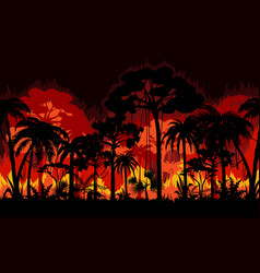 Forest Jungle Or Bush Fire Background