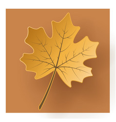 Autumn Paper Cut 3d Maple Leaf