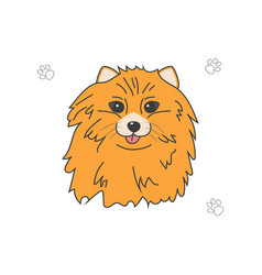 Dog Pomeranian In The Style Of Duddle