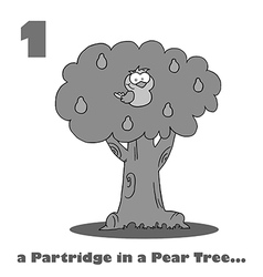 Partridge In A Pear Tree Cartoon