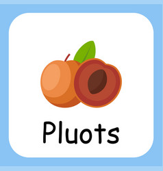 Pluots Clip Art For Kids