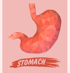 Human Stomach In Triangulation Style