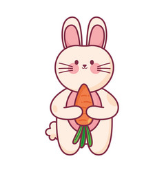 Cheerful Rabbit Love Carrots