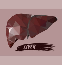 Human Liver In Triangulation Style