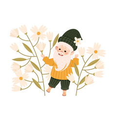 Cute Garden Bearded Gnome Standing In Chamomile